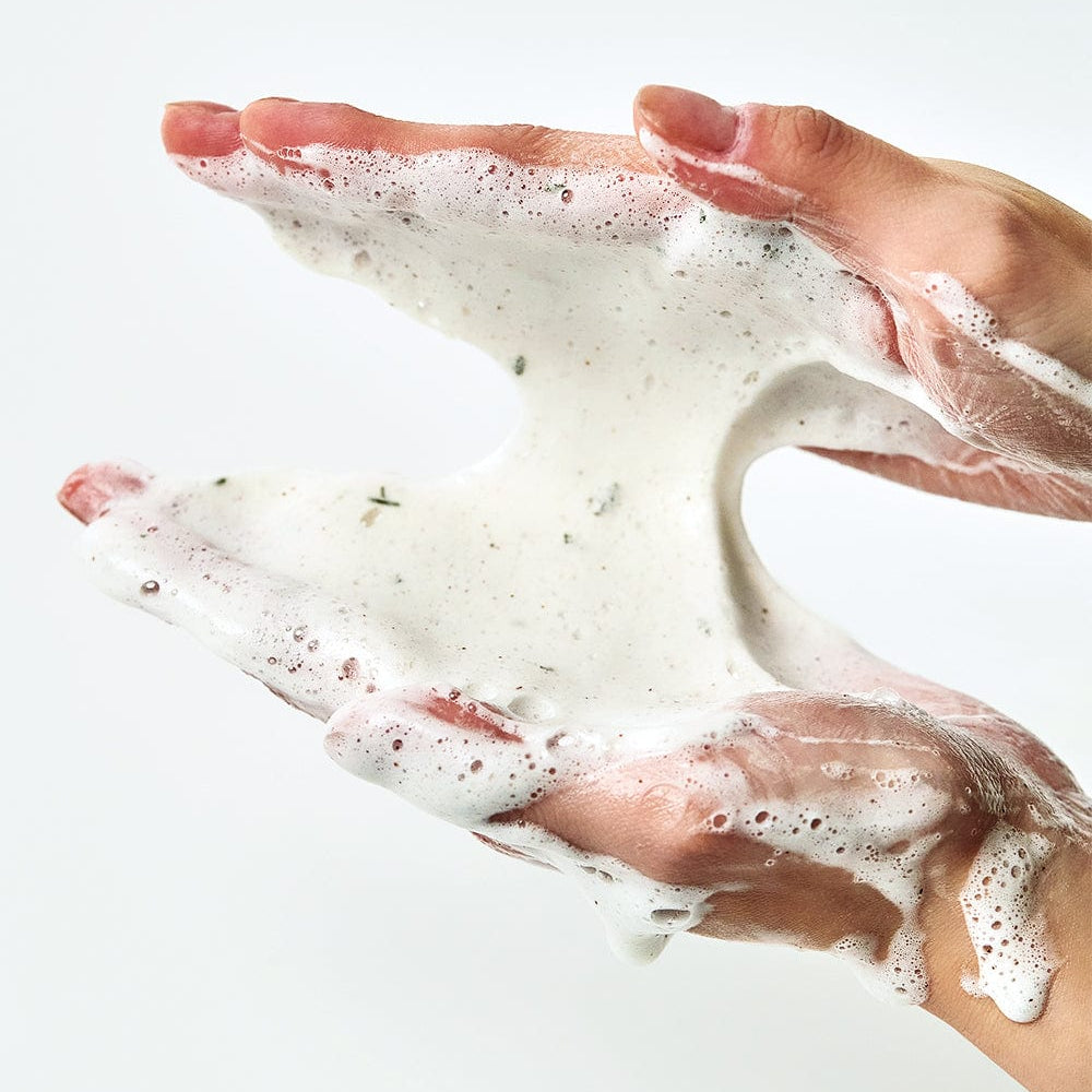 AnuaUS_Heartleaf_Quercetinol_Pore_Deep_Cleansing_Foam_1000x1250_Listing1_6843634e-f23e-4c82-8552-3ce4dd66c46f.jpg