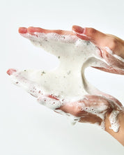 Anua - Heartleaf Quercetinol Pore Deep Cleansing Foam